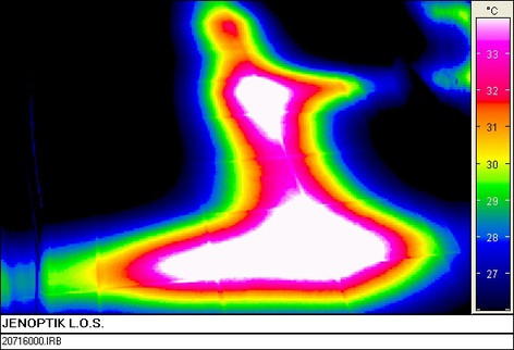 Infrarot-Thermografie